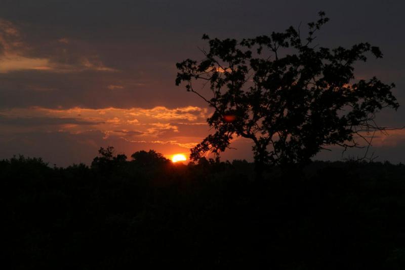 Ormanevi Otantik Hotel อักวา ภายนอก รูปภาพ